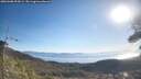 ./images/calvert/fitz-hugh-hecate/20260408/fitz-hugh-hecate20260408_094501M.jpg