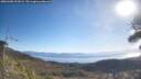 ./images/calvert/fitz-hugh-hecate/20260408/fitz-hugh-hecate20260408_101002M.jpg