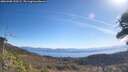 ./images/calvert/fitz-hugh-hecate/20260408/fitz-hugh-hecate20260408_110501M.jpg