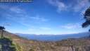 ./images/calvert/fitz-hugh-hecate/20260408/fitz-hugh-hecate20260408_152502M.jpg