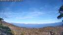 ./images/calvert/fitz-hugh-hecate/20260408/fitz-hugh-hecate20260408_165001M.jpg