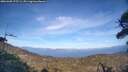 ./images/calvert/fitz-hugh-hecate/20260408/fitz-hugh-hecate20260408_175501M.jpg