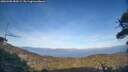./images/calvert/fitz-hugh-hecate/20260408/fitz-hugh-hecate20260408_183501M.jpg