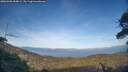 ./images/calvert/fitz-hugh-hecate/20260408/fitz-hugh-hecate20260408_184001M.jpg