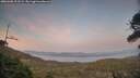 ./images/calvert/fitz-hugh-hecate/20260408/fitz-hugh-hecate20260408_202502M.jpg