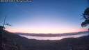 ./images/calvert/fitz-hugh-hecate/20260409/fitz-hugh-hecate20260409_062001M.jpg