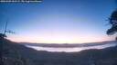 ./images/calvert/fitz-hugh-hecate/20260409/fitz-hugh-hecate20260409_062501M.jpg