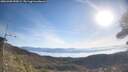 ./images/calvert/fitz-hugh-hecate/20260409/fitz-hugh-hecate20260409_092001M.jpg