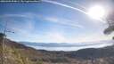./images/calvert/fitz-hugh-hecate/20260409/fitz-hugh-hecate20260409_094002M.jpg