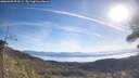 ./images/calvert/fitz-hugh-hecate/20260409/fitz-hugh-hecate20260409_094501M.jpg