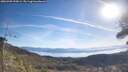 ./images/calvert/fitz-hugh-hecate/20260409/fitz-hugh-hecate20260409_095002M.jpg