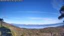 ./images/calvert/fitz-hugh-hecate/20260409/fitz-hugh-hecate20260409_153501M.jpg