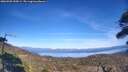 ./images/calvert/fitz-hugh-hecate/20260409/fitz-hugh-hecate20260409_155001M.jpg