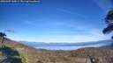 ./images/calvert/fitz-hugh-hecate/20260409/fitz-hugh-hecate20260409_160001M.jpg