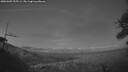 ./images/calvert/fitz-hugh-hecate/20260409/fitz-hugh-hecate20260409_205501M.jpg