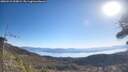 ./images/calvert/fitz-hugh-hecate/20260410/fitz-hugh-hecate20260410_100002M.jpg