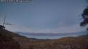 ./images/calvert/fitz-hugh-hecate/20260410/fitz-hugh-hecate20260410_204502M.jpg