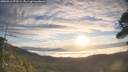 ./images/calvert/fitz-hugh-hecate/20260411/fitz-hugh-hecate20260411_073501M.jpg