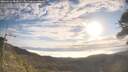 ./images/calvert/fitz-hugh-hecate/20260411/fitz-hugh-hecate20260411_083001M.jpg