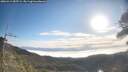 ./images/calvert/fitz-hugh-hecate/20260411/fitz-hugh-hecate20260411_085501M.jpg