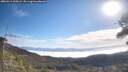 ./images/calvert/fitz-hugh-hecate/20260411/fitz-hugh-hecate20260411_100001M.jpg