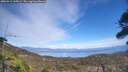 ./images/calvert/fitz-hugh-hecate/20260411/fitz-hugh-hecate20260411_145001M.jpg