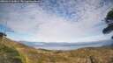 ./images/calvert/fitz-hugh-hecate/20260411/fitz-hugh-hecate20260411_163001M.jpg