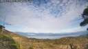./images/calvert/fitz-hugh-hecate/20260411/fitz-hugh-hecate20260411_163501M.jpg