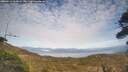 ./images/calvert/fitz-hugh-hecate/20260411/fitz-hugh-hecate20260411_164501M.jpg