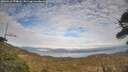 ./images/calvert/fitz-hugh-hecate/20260411/fitz-hugh-hecate20260411_174001M.jpg