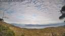 ./images/calvert/fitz-hugh-hecate/20260411/fitz-hugh-hecate20260411_174501M.jpg