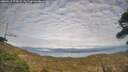 ./images/calvert/fitz-hugh-hecate/20260411/fitz-hugh-hecate20260411_175001M.jpg