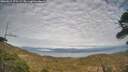 ./images/calvert/fitz-hugh-hecate/20260411/fitz-hugh-hecate20260411_175501M.jpg