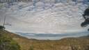 ./images/calvert/fitz-hugh-hecate/20260411/fitz-hugh-hecate20260411_181001M.jpg