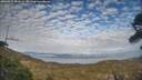 ./images/calvert/fitz-hugh-hecate/20260411/fitz-hugh-hecate20260411_182501M.jpg