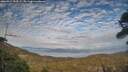 ./images/calvert/fitz-hugh-hecate/20260411/fitz-hugh-hecate20260411_184501M.jpg