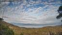 ./images/calvert/fitz-hugh-hecate/20260411/fitz-hugh-hecate20260411_185001M.jpg