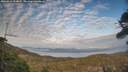 ./images/calvert/fitz-hugh-hecate/20260411/fitz-hugh-hecate20260411_193002M.jpg