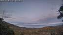 ./images/calvert/fitz-hugh-hecate/20260411/fitz-hugh-hecate20260411_204001M.jpg
