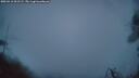 ./images/calvert/fitz-hugh-hecate/20260412/fitz-hugh-hecate20260412_061502M.jpg