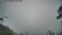 ./images/calvert/fitz-hugh-hecate/20260412/fitz-hugh-hecate20260412_065001M.jpg