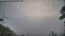 ./images/calvert/fitz-hugh-hecate/20260412/fitz-hugh-hecate20260412_073501M.jpg