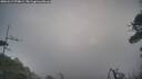 ./images/calvert/fitz-hugh-hecate/20260412/fitz-hugh-hecate20260412_074001M.jpg