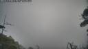 ./images/calvert/fitz-hugh-hecate/20260412/fitz-hugh-hecate20260412_074501M.jpg