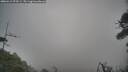 ./images/calvert/fitz-hugh-hecate/20260412/fitz-hugh-hecate20260412_075501M.jpg
