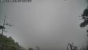./images/calvert/fitz-hugh-hecate/20260412/fitz-hugh-hecate20260412_080001M.jpg