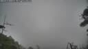 ./images/calvert/fitz-hugh-hecate/20260412/fitz-hugh-hecate20260412_080502M.jpg