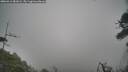 ./images/calvert/fitz-hugh-hecate/20260412/fitz-hugh-hecate20260412_081001M.jpg