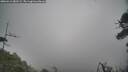 ./images/calvert/fitz-hugh-hecate/20260412/fitz-hugh-hecate20260412_082501M.jpg