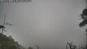 ./images/calvert/fitz-hugh-hecate/20260412/fitz-hugh-hecate20260412_084002M.jpg